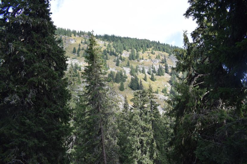  - 2017 -Obarsia Lotrului - a doua zi - traseul cu Refugiul Agatat