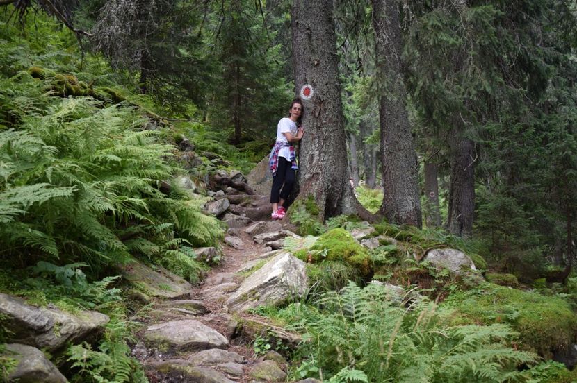  - 2017 -Obarsia Lotrului - a doua zi - traseul cu Refugiul Agatat