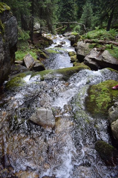  - 2017 -Obarsia Lotrului - a doua zi - traseul cu Refugiul Agatat
