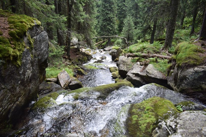  - 2017 -Obarsia Lotrului - a doua zi - traseul cu Refugiul Agatat