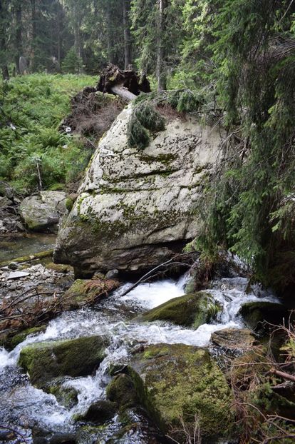  - 2017 -Obarsia Lotrului - a doua zi - traseul cu Refugiul Agatat