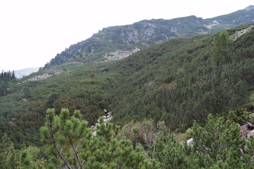  - 2017 -Obarsia Lotrului - a doua zi - traseul cu Refugiul Agatat