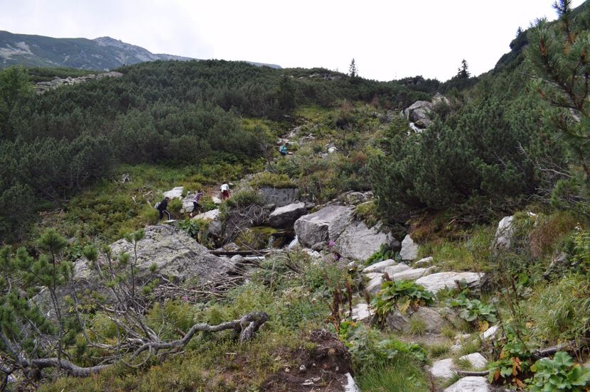  - 2017 -Obarsia Lotrului - a doua zi - traseul cu Refugiul Agatat