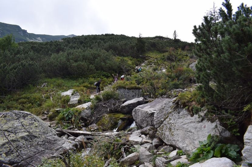  - 2017 -Obarsia Lotrului - a doua zi - traseul cu Refugiul Agatat