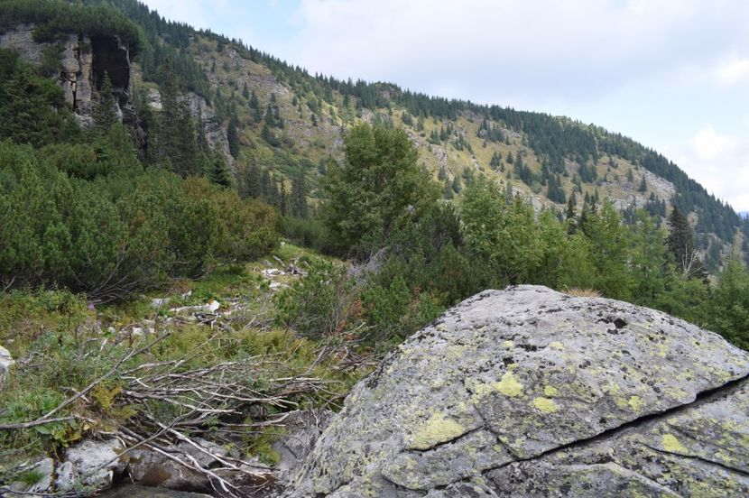  - 2017 -Obarsia Lotrului - a doua zi - traseul cu Refugiul Agatat