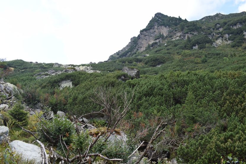  - 2017 -Obarsia Lotrului - a doua zi - traseul cu Refugiul Agatat