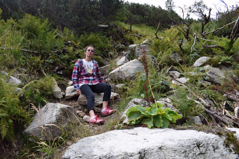  - 2017 -Obarsia Lotrului - a doua zi - traseul cu Refugiul Agatat