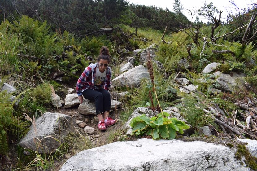  - 2017 -Obarsia Lotrului - a doua zi - traseul cu Refugiul Agatat