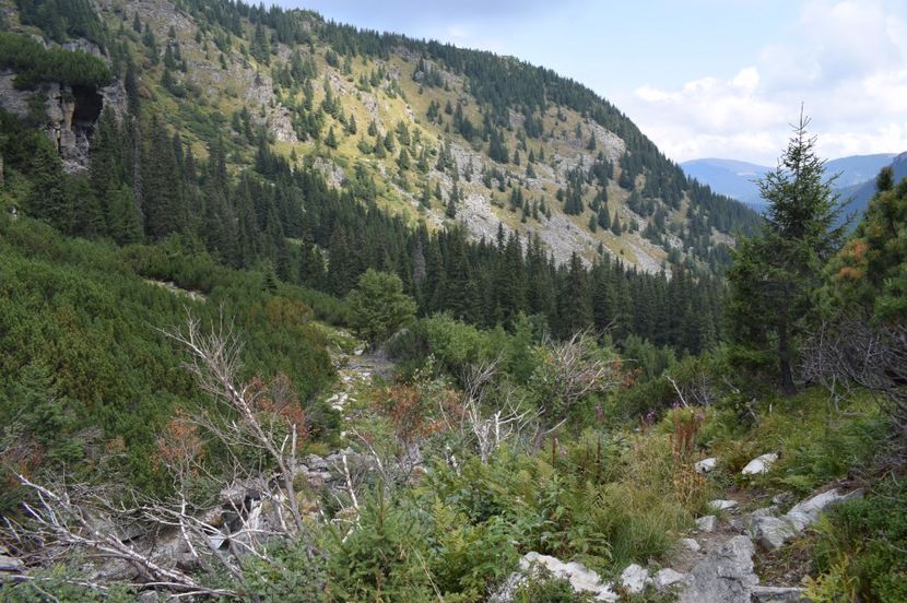  - 2017 -Obarsia Lotrului - a doua zi - traseul cu Refugiul Agatat