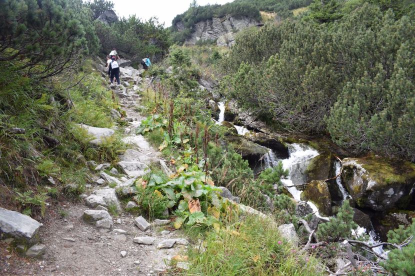  - 2017 -Obarsia Lotrului - a doua zi - traseul cu Refugiul Agatat