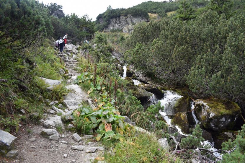  - 2017 -Obarsia Lotrului - a doua zi - traseul cu Refugiul Agatat