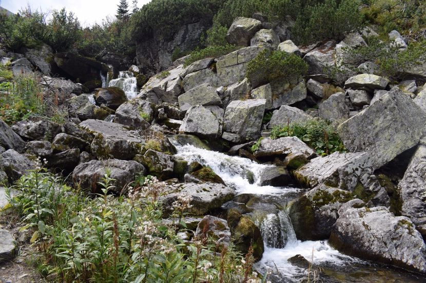  - 2017 -Obarsia Lotrului - a doua zi - traseul cu Refugiul Agatat