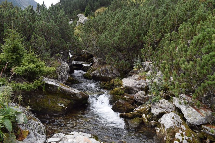  - 2017 -Obarsia Lotrului - a doua zi - traseul cu Refugiul Agatat