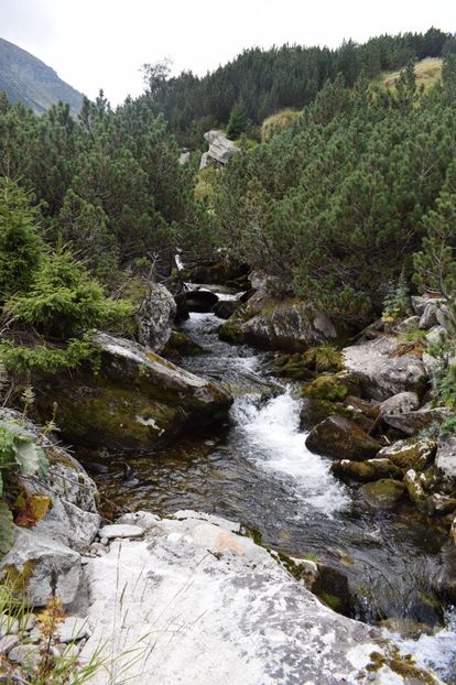  - 2017 -Obarsia Lotrului - a doua zi - traseul cu Refugiul Agatat