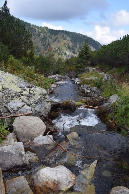  - 2017 -Obarsia Lotrului - a doua zi - traseul cu Refugiul Agatat