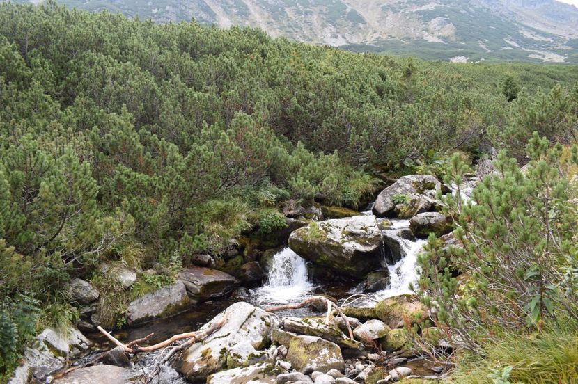  - 2017 -Obarsia Lotrului - a doua zi - traseul cu Refugiul Agatat