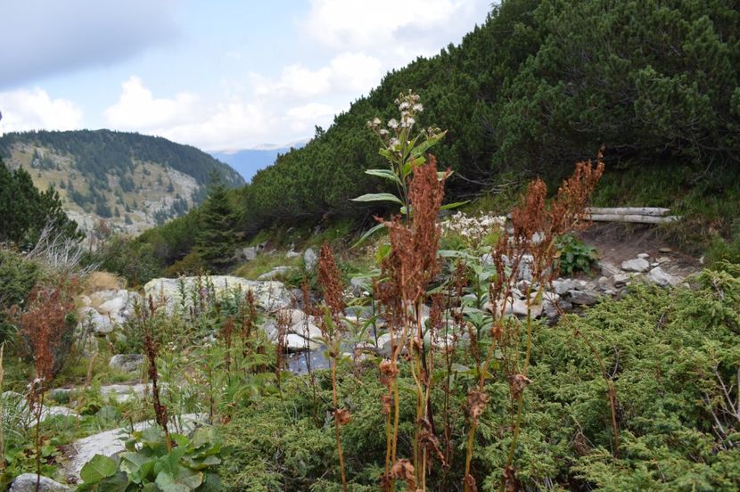  - 2017 -Obarsia Lotrului - a doua zi - traseul cu Refugiul Agatat