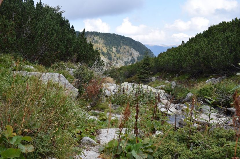  - 2017 -Obarsia Lotrului - a doua zi - traseul cu Refugiul Agatat
