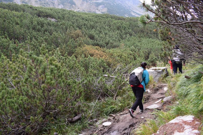  - 2017 -Obarsia Lotrului - a doua zi - traseul cu Refugiul Agatat