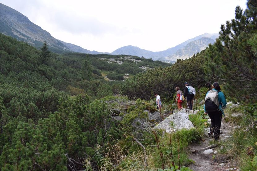  - 2017 -Obarsia Lotrului - a doua zi - traseul cu Refugiul Agatat