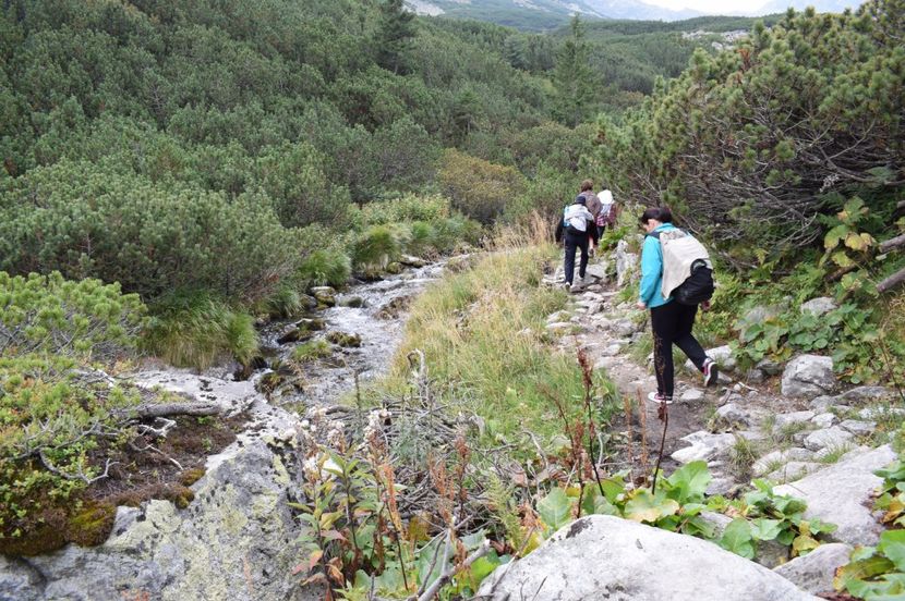  - 2017 -Obarsia Lotrului - a doua zi - traseul cu Refugiul Agatat