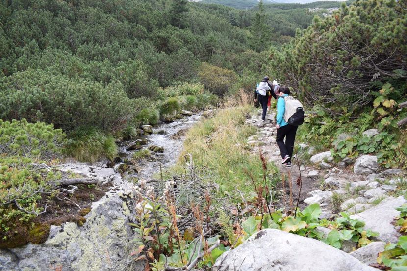  - 2017 -Obarsia Lotrului - a doua zi - traseul cu Refugiul Agatat