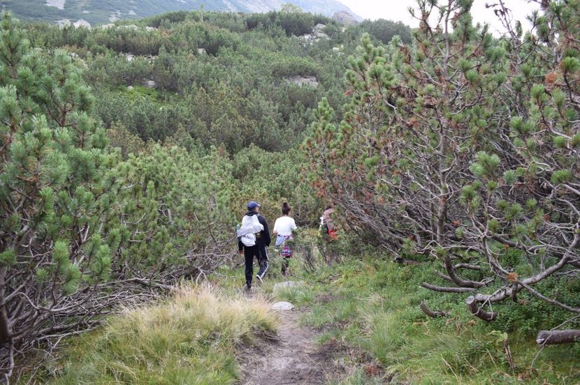  - 2017 -Obarsia Lotrului - a doua zi - traseul cu Refugiul Agatat