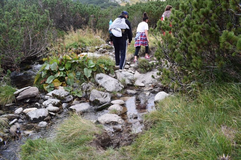  - 2017 -Obarsia Lotrului - a doua zi - traseul cu Refugiul Agatat