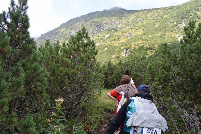  - 2017 -Obarsia Lotrului - a doua zi - traseul cu Refugiul Agatat