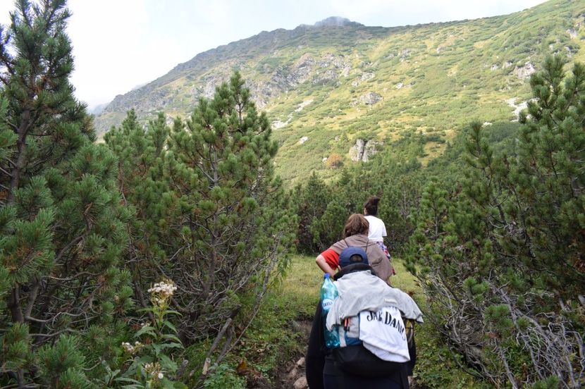  - 2017 -Obarsia Lotrului - a doua zi - traseul cu Refugiul Agatat