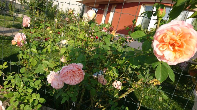  - Abraham Darby