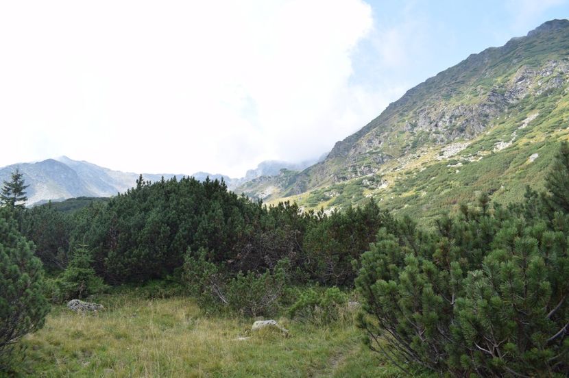  - 2017 -Obarsia Lotrului - a doua zi - traseul cu Refugiul Agatat