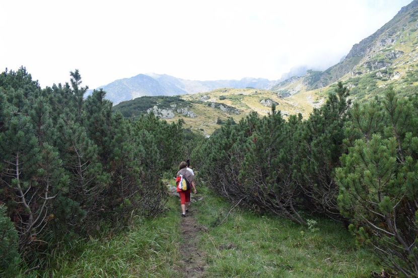  - 2017 -Obarsia Lotrului - a doua zi - traseul cu Refugiul Agatat