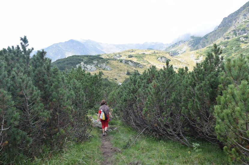  - 2017 -Obarsia Lotrului - a doua zi - traseul cu Refugiul Agatat