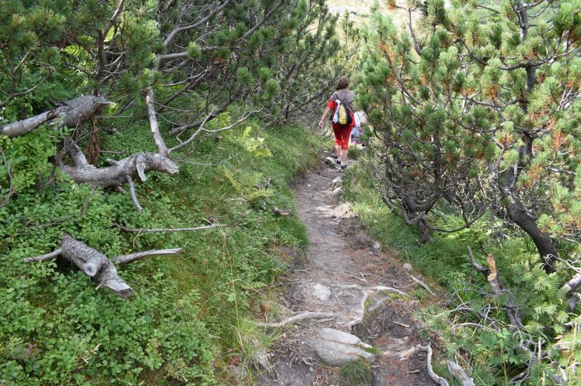  - 2017 -Obarsia Lotrului - a doua zi - traseul cu Refugiul Agatat