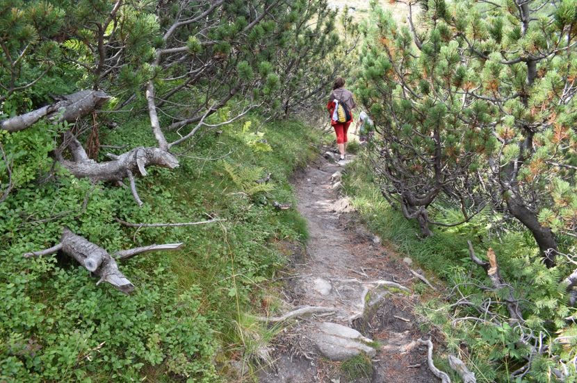  - 2017 -Obarsia Lotrului - a doua zi - traseul cu Refugiul Agatat