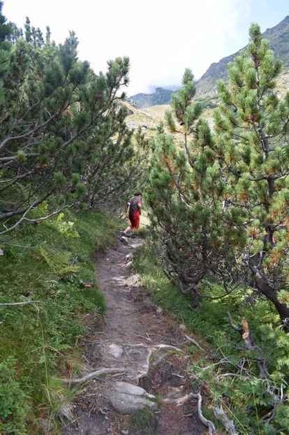  - 2017 -Obarsia Lotrului - a doua zi - traseul cu Refugiul Agatat
