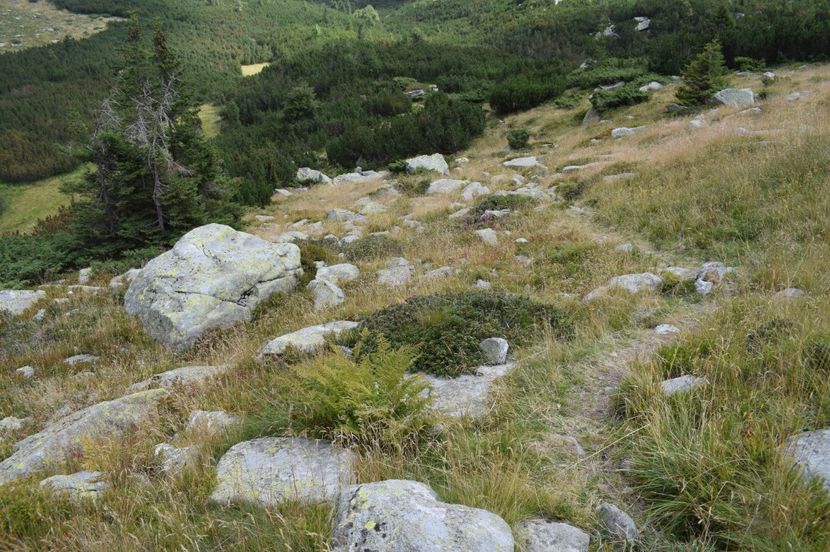  - 2017 -Obarsia Lotrului - a doua zi - traseul cu Refugiul Agatat