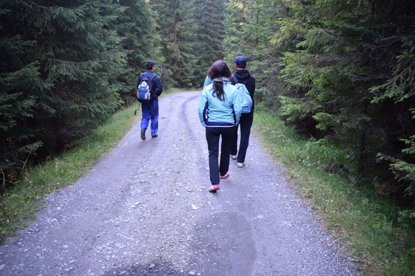  - 2017 - Obarsia Lotrului - a treia zi Galcescu apoi Oasa