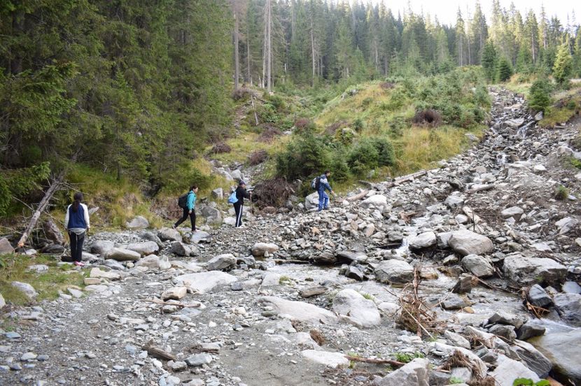  - 2017 - Obarsia Lotrului - a treia zi Galcescu apoi Oasa
