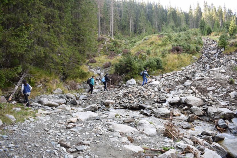  - 2017 - Obarsia Lotrului - a treia zi Galcescu apoi Oasa