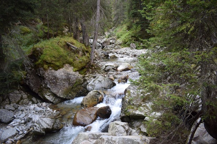  - 2017 - Obarsia Lotrului - a treia zi Galcescu apoi Oasa