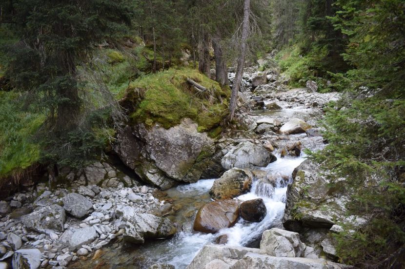  - 2017 - Obarsia Lotrului - a treia zi Galcescu apoi Oasa