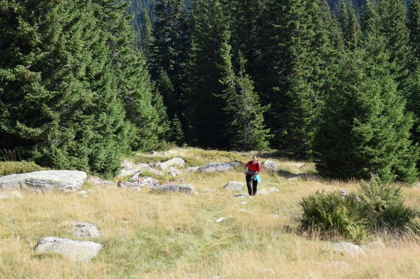  - 2017 - Obarsia Lotrului - a treia zi Galcescu apoi Oasa