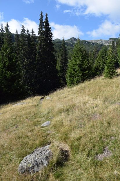  - 2017 - Obarsia Lotrului - a treia zi Galcescu apoi Oasa