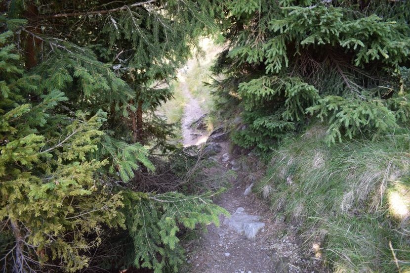  - 2017 - Obarsia Lotrului - a treia zi Galcescu apoi Oasa