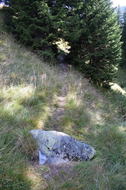  - 2017 - Obarsia Lotrului - a treia zi Galcescu apoi Oasa