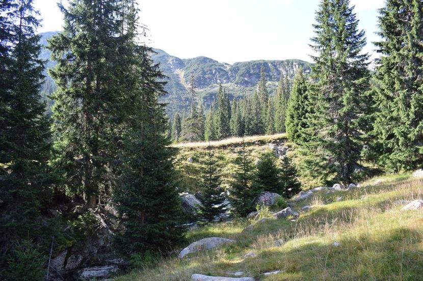  - 2017 - Obarsia Lotrului - a treia zi Galcescu apoi Oasa