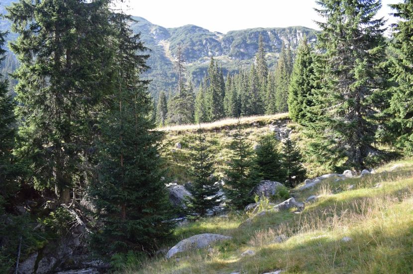  - 2017 - Obarsia Lotrului - a treia zi Galcescu apoi Oasa