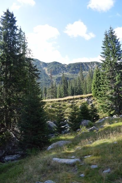  - 2017 - Obarsia Lotrului - a treia zi Galcescu apoi Oasa